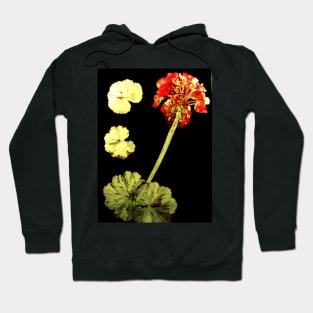 Red Garden Night Hoodie